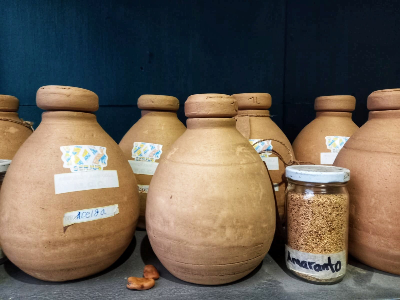  Ollas de barro donde conservan las semillas. Foto de Hugo Bulux 