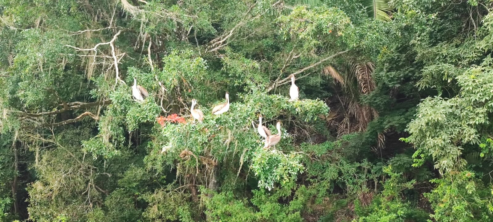  Foto: Elmer Ponce / Prensa Comunitaria. 