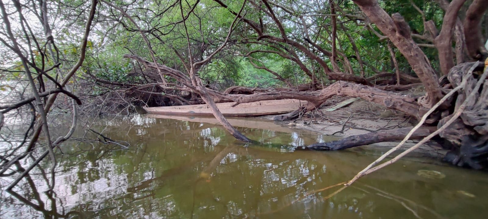  Foto: Elmer Ponce / Prensa Comunitaria. 