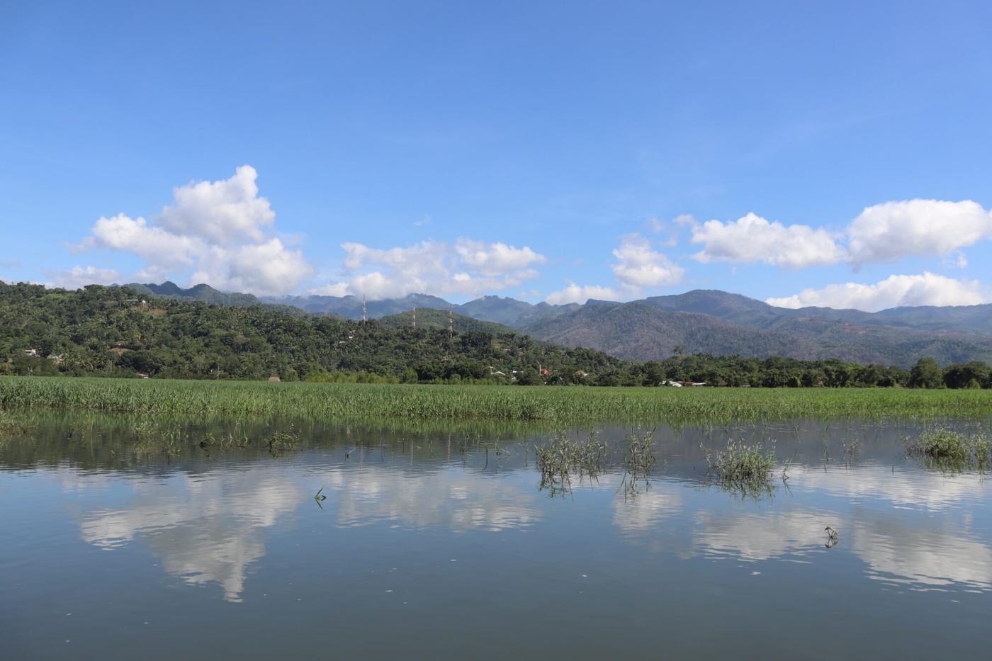  Vista panorámica de cultivos bajo el agua. 