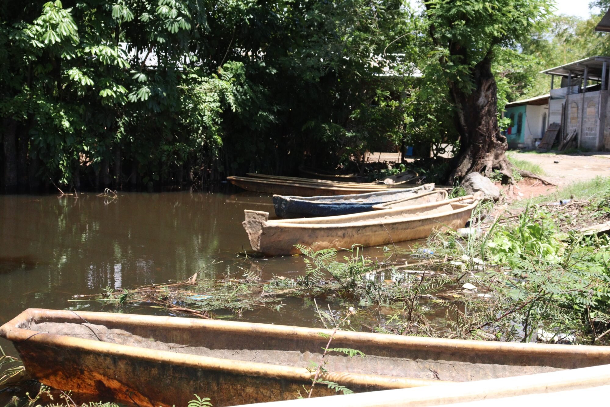  Los cayucos que utilizan los pobladores. 
