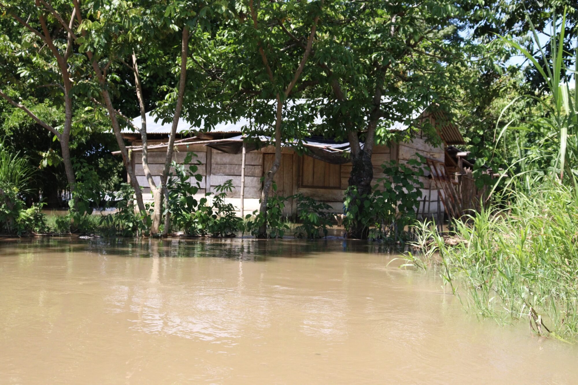  Viviendas también se encuentran inundadas. 