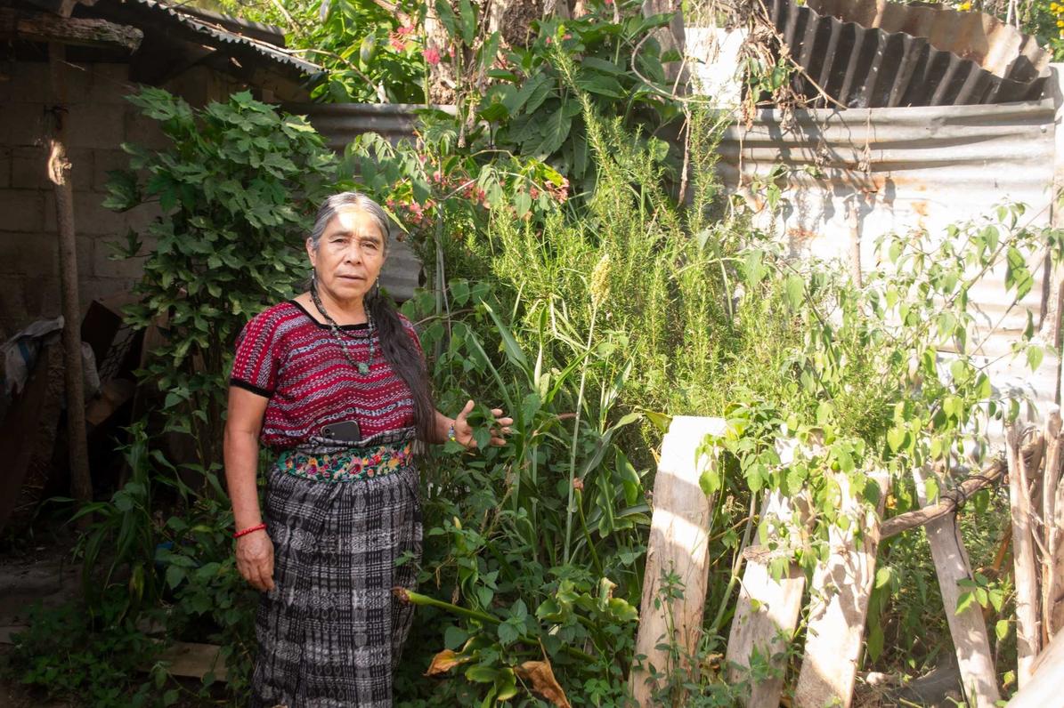 María Us es una defensora del medio ambiente que se especializa en la medicina natural. Foto Joel Solano