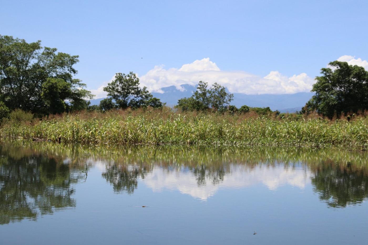  Bordas de empresa de palma inunda cultivos. 