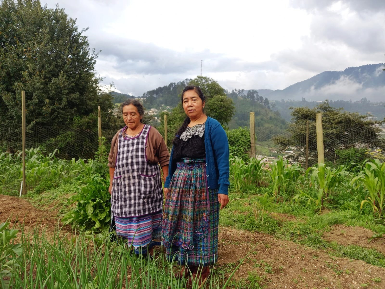  Créditos: Dos mujeres de Cantel practican la agroecología. Foto de Hugo Bulux 
