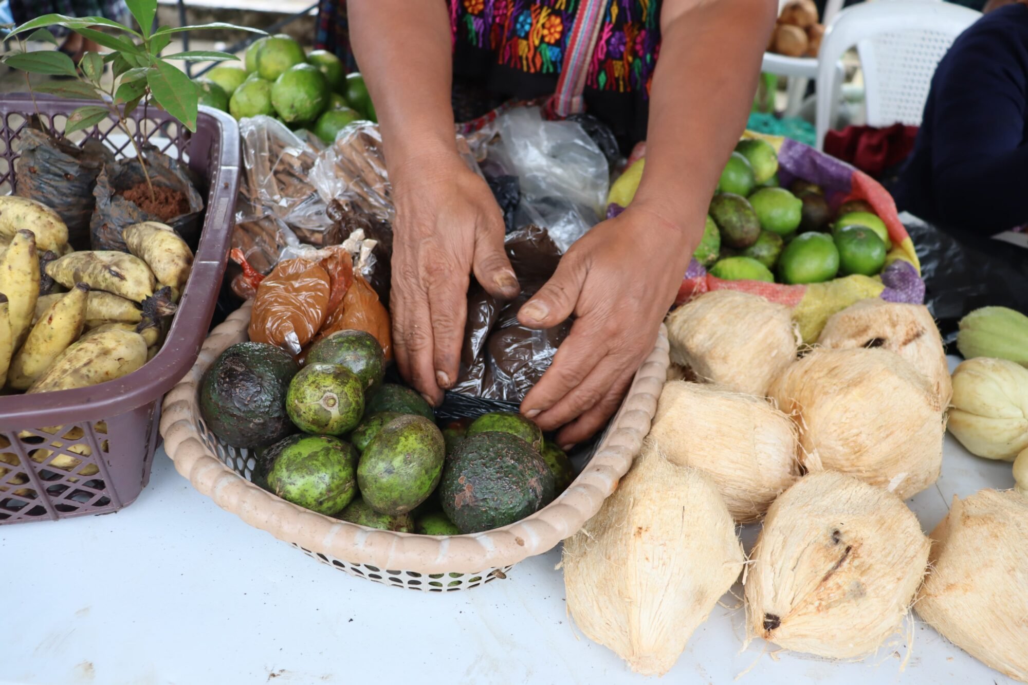  Diversos productos que se ofrecieron en el mercado comunitario. Foto de Juan Bautista Xol 