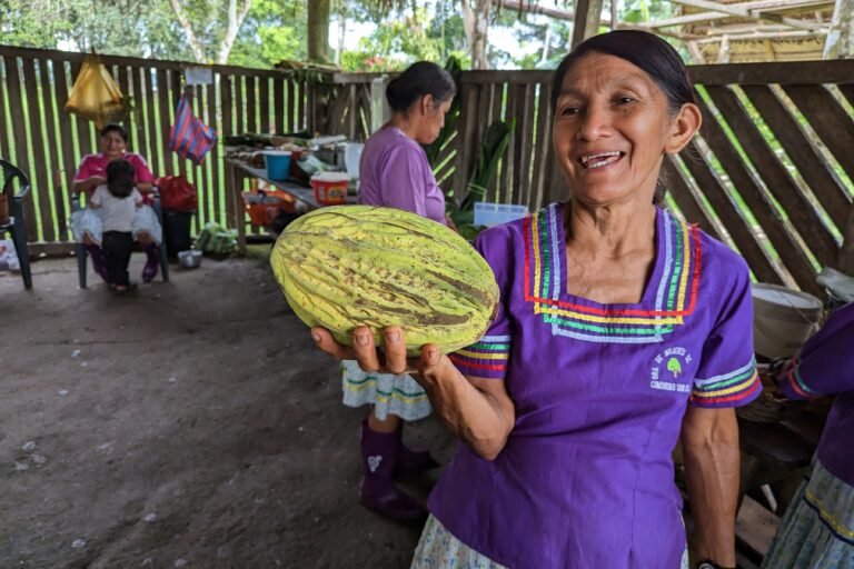  Digna Coquinche, presidenta de la asociación de mujeres Sani Warmi, muestra un cacao blanco (Theobroma bicolor) de la chacra comunal. Foto: Rhett A. Butler 
