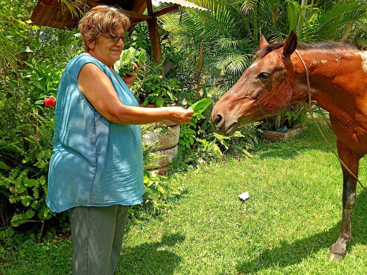 Doña Toni alimenta a su caballo Facundo con las mismas hortalizas de su huerto. Foto de Maylin Hernández