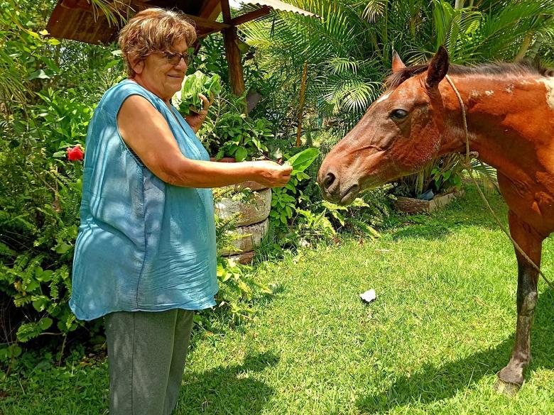 Doña Toni alimenta a su caballo Facundo con las mismas hortalizas de su huerto. Foto de Maylin Hernández