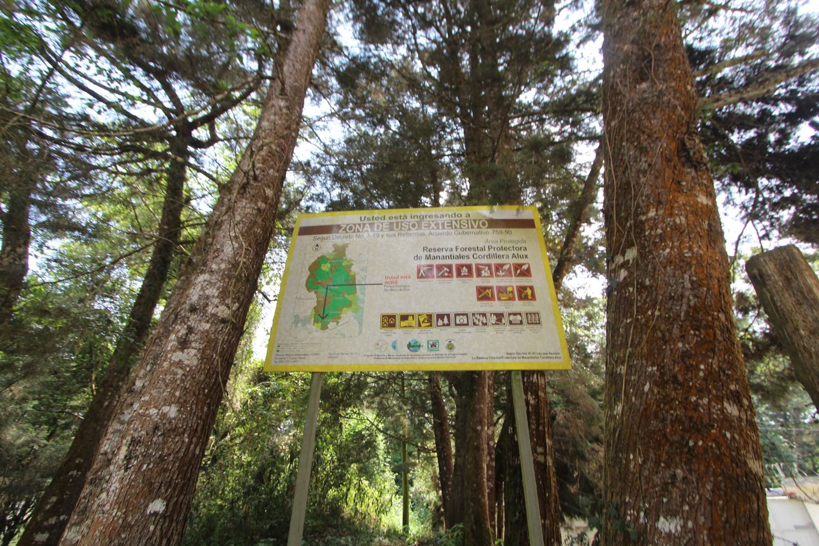  El cerro Alux es una cordillera boscosa de gran importancia para la región metropolitana del departamento de Guatemala, colinda también con el departamento de Sacatepéquez, está catalogado como Reserva Forestal Protectora de Manantiales desde el año 1997. Fotografía: Juan Rosales. 