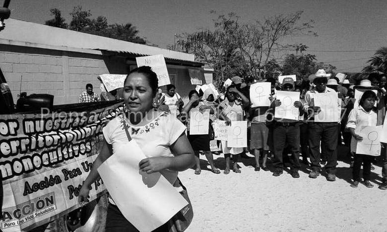 Créditos: Elmer Ponce