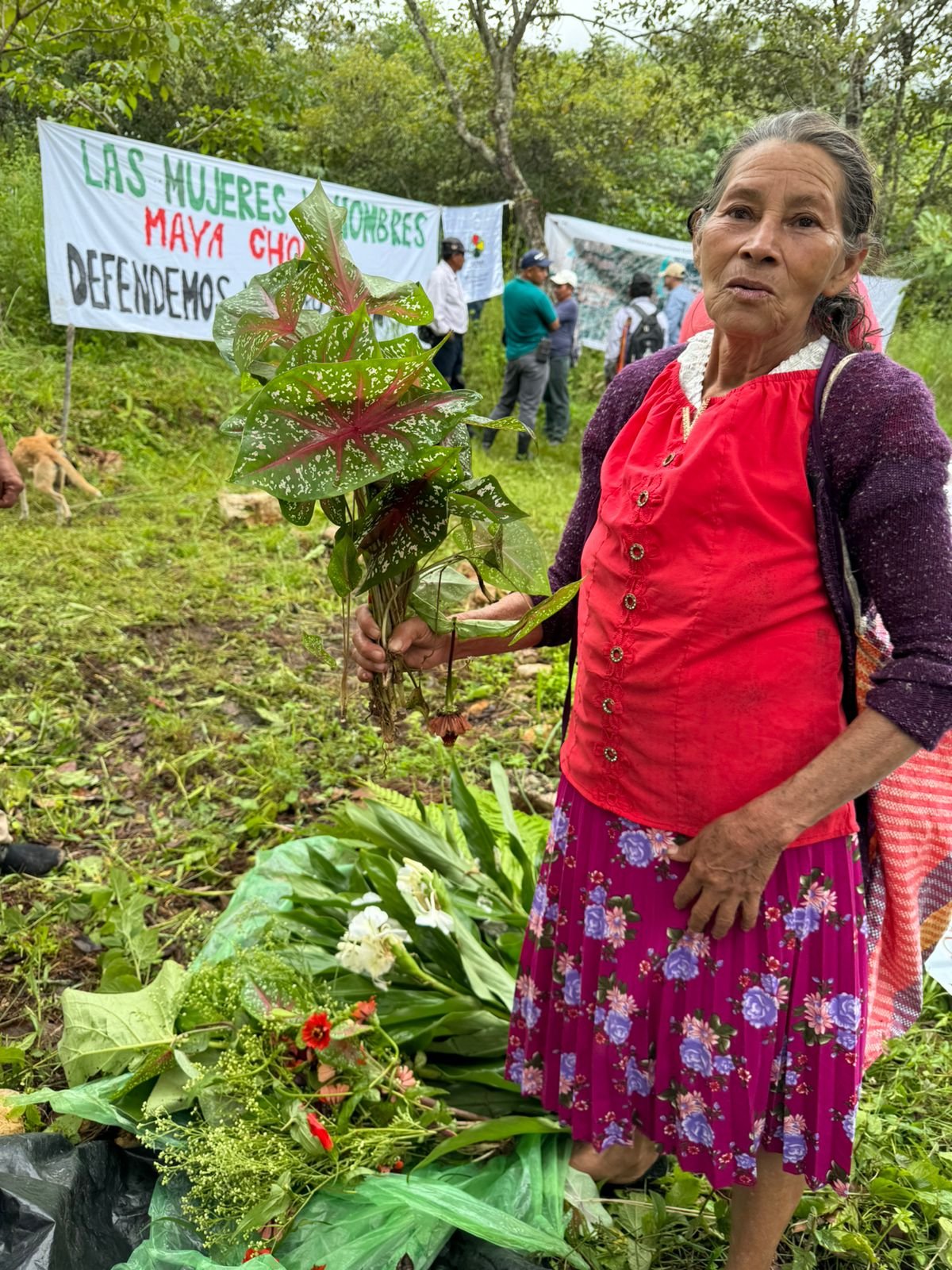  Foto de Norma Sancir 