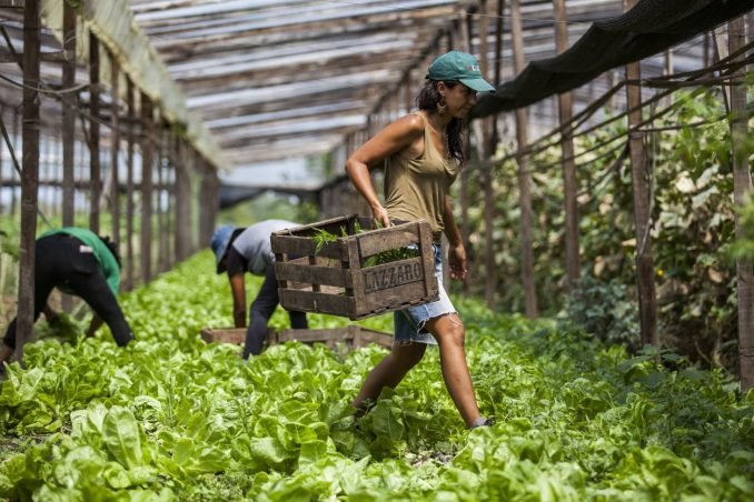 Fotografía: Prensa UTT