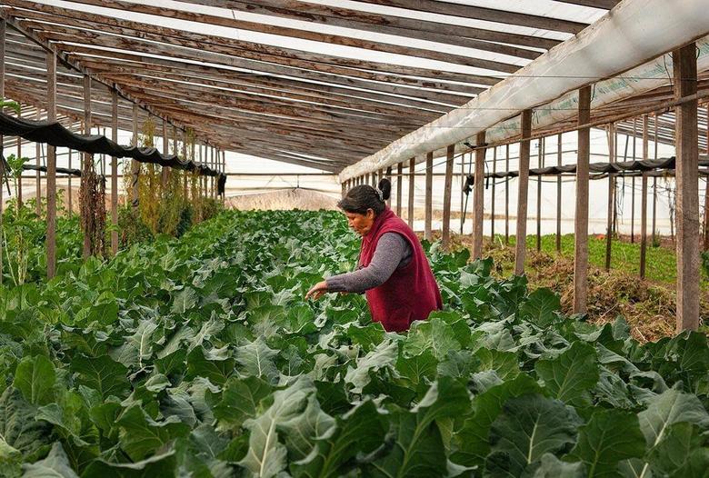 Fotografía: Lucas Villavicencio