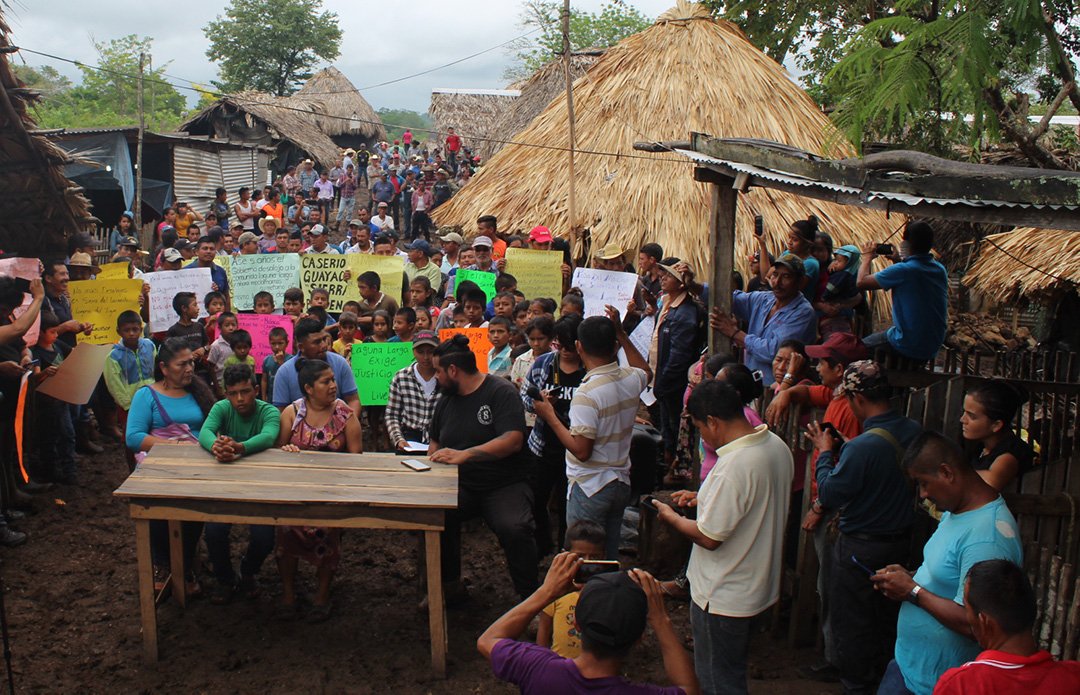 Cortesía Avispa Midia