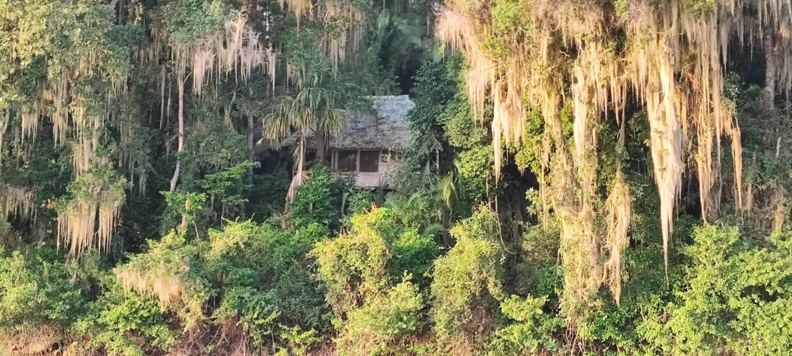  Foto: Elmer Ponce / Prensa Comunitaria. 