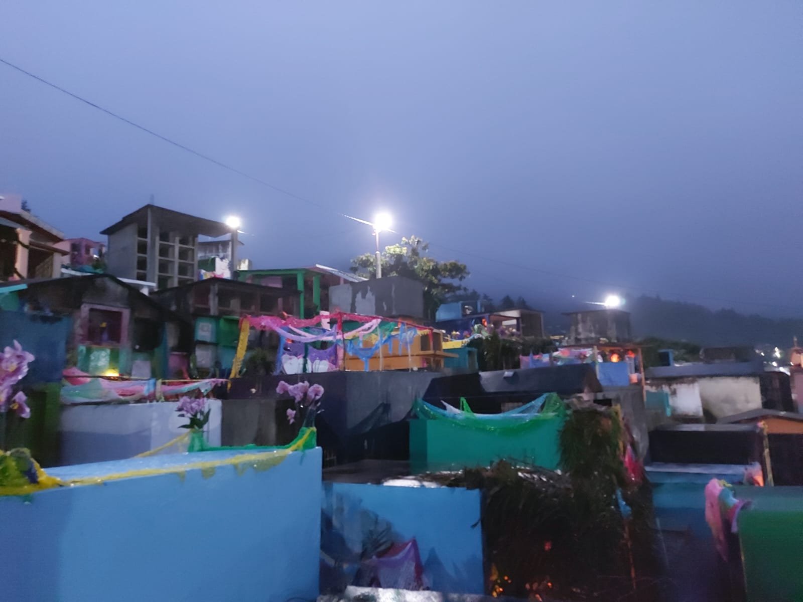  Foto de Cristina Bernabé 