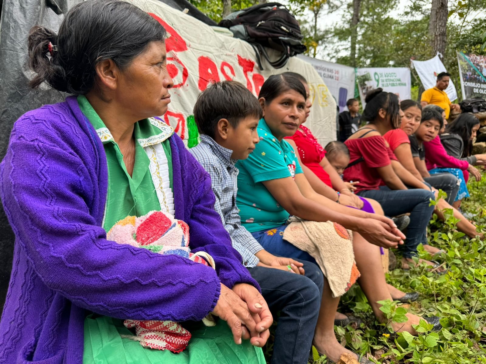  Foto de Norma Sancir 