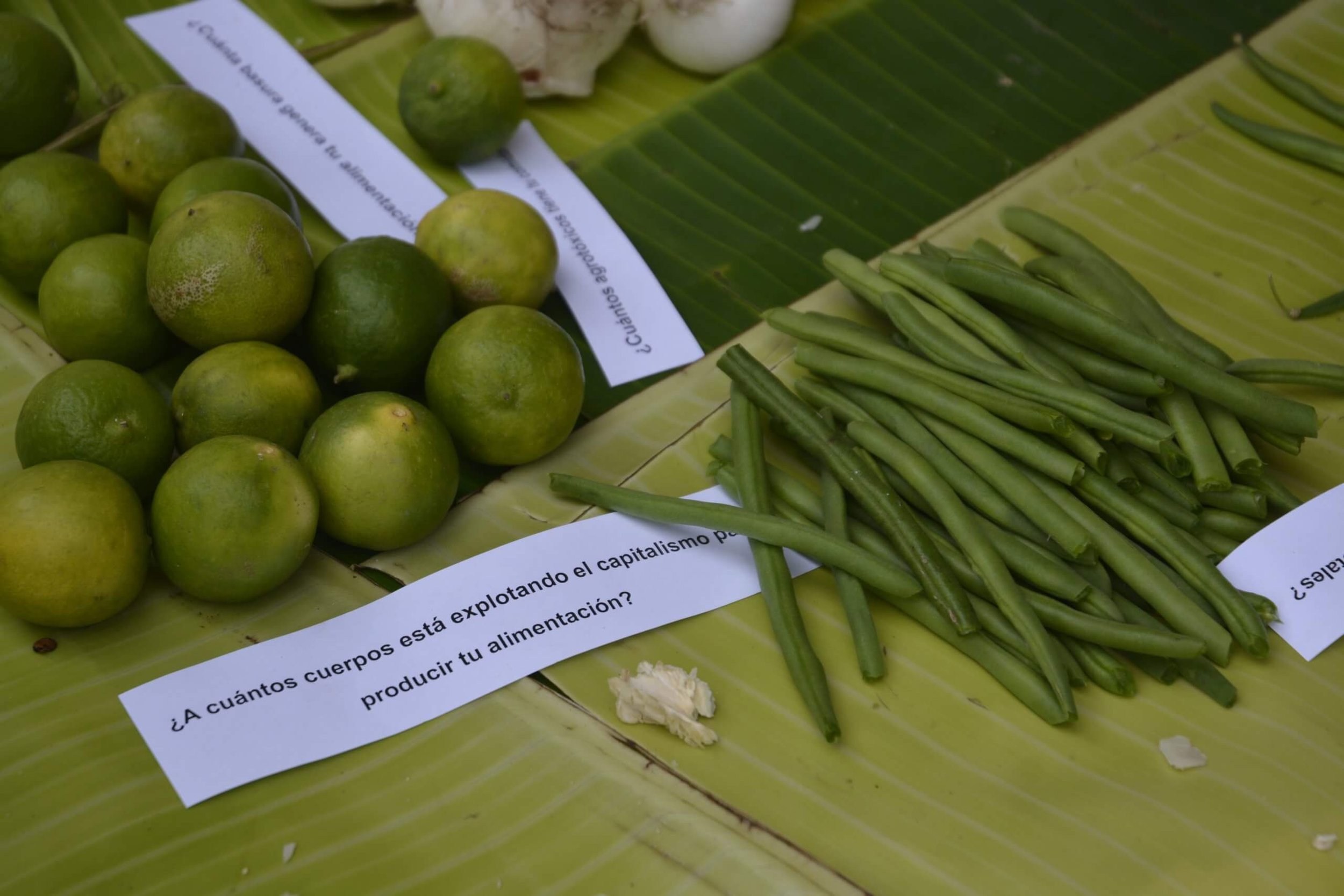  Una de las muchas preguntas generadoras de discusión en el taller “Sembrar, Cosechar y Cocinar”. Foto: María España 
