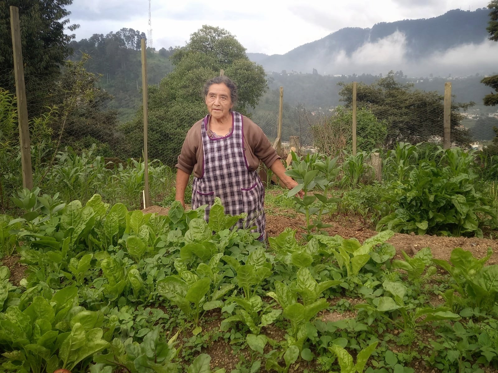  Doña Graciela García en su huerto familiar. Foto de Hugo Bulux 