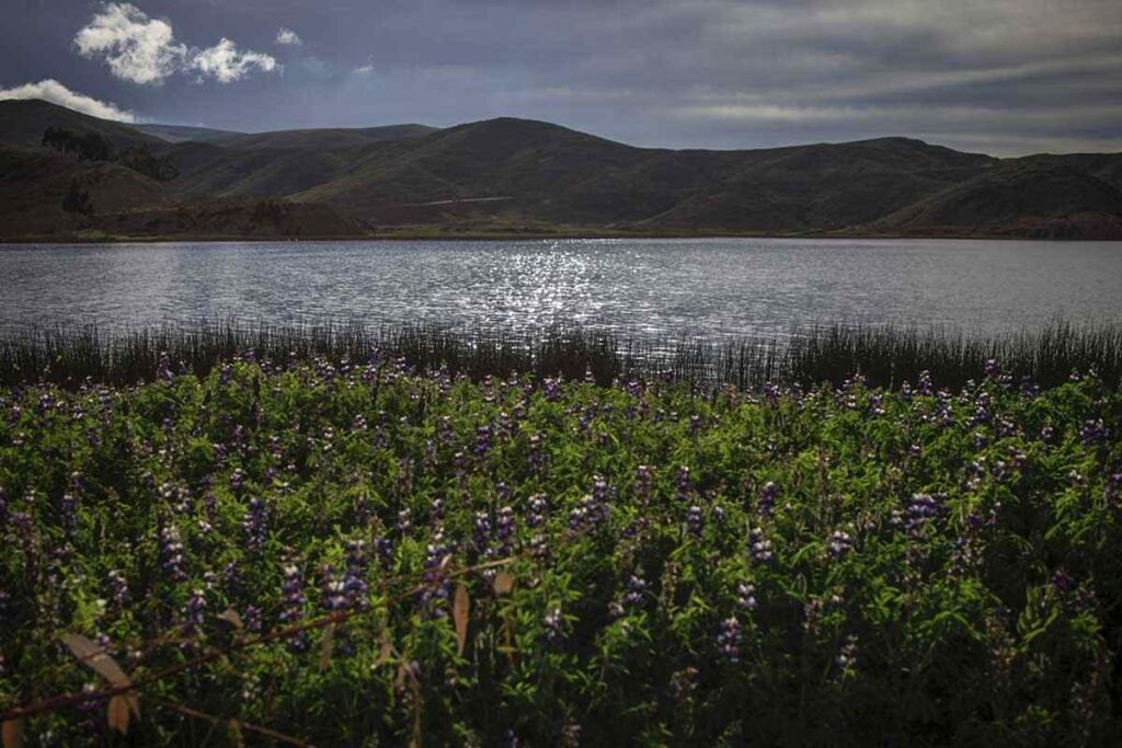  Foto: Nicolás Pousthomis 