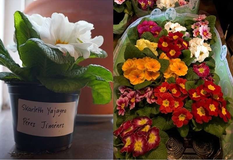  Fotografía: ysterias.wordpress.com 