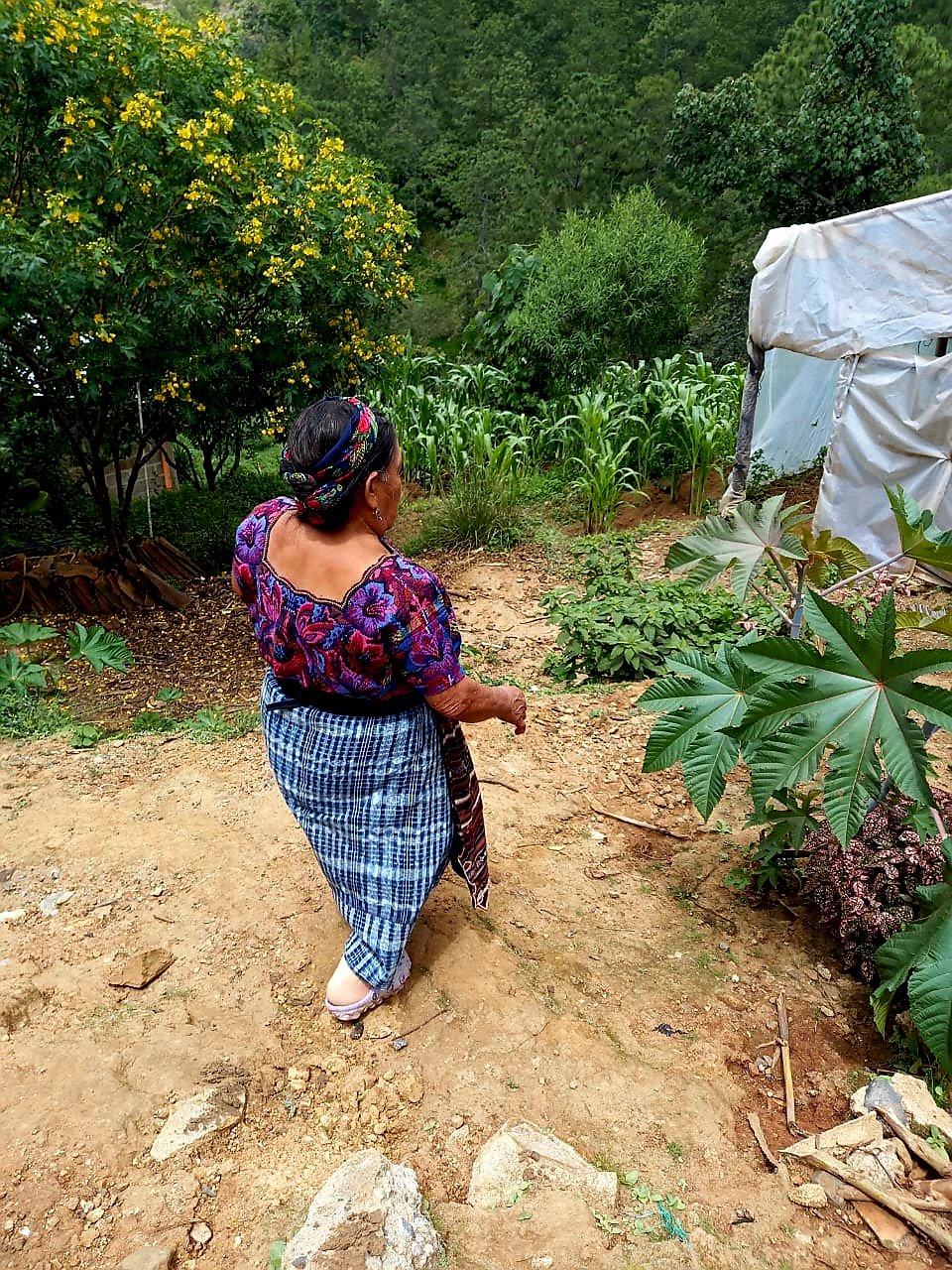  Adela recorre el patio de su casa. Foto de Hugo Bulux 