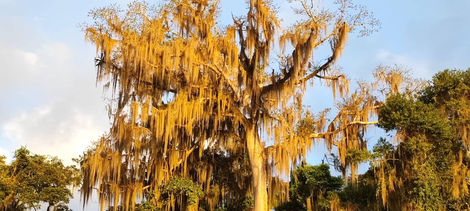  Foto: Elmer Ponce / Prensa Comunitaria. 
