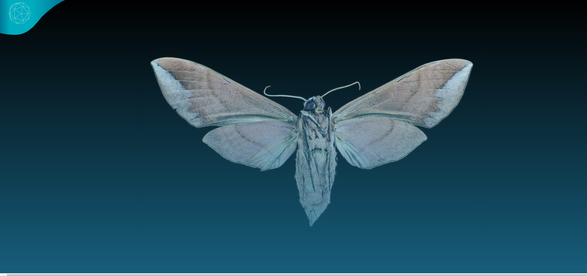 Fotografía: Ecoesfera