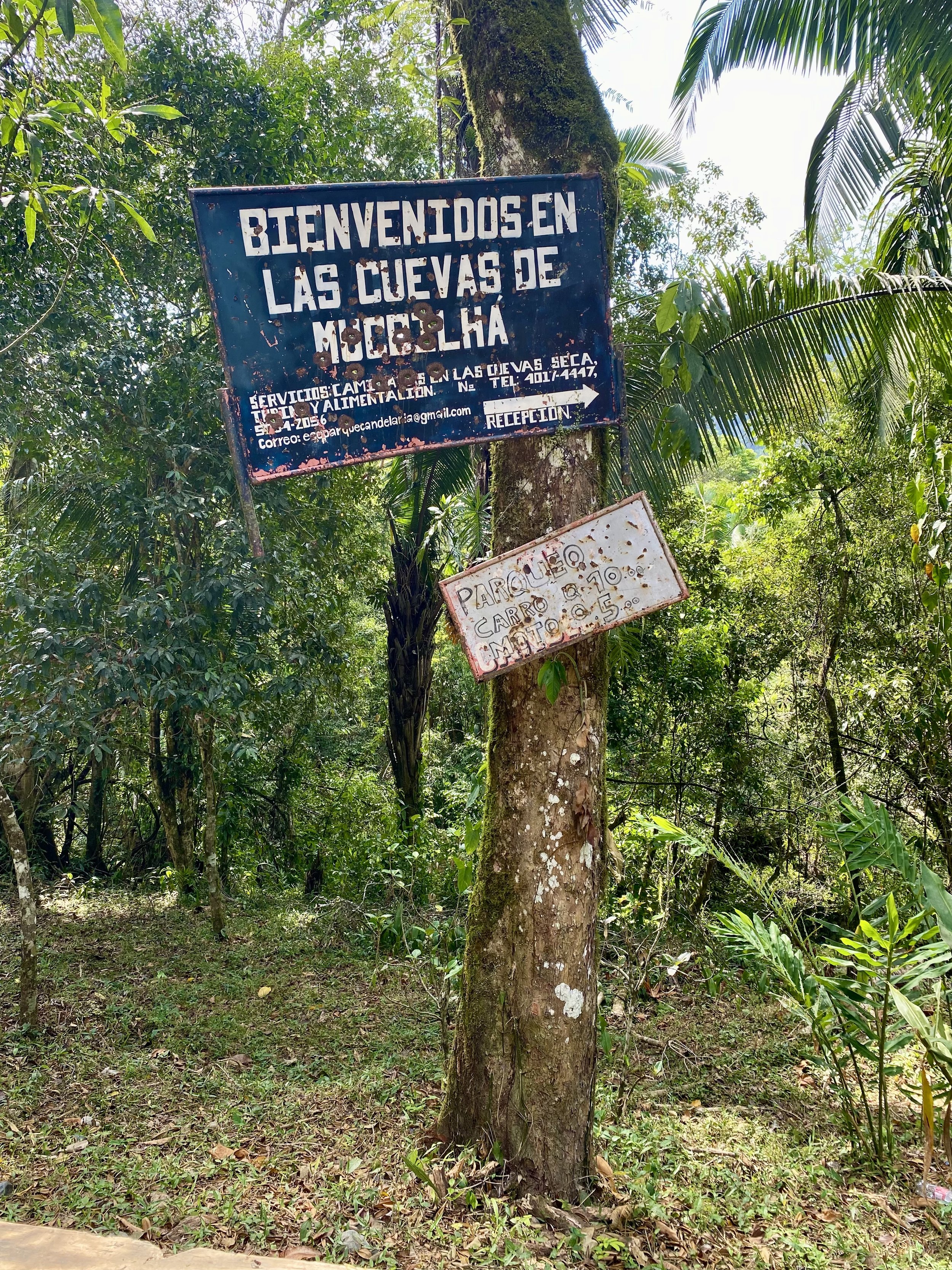  Foto: Yeimi J. Alonzo 