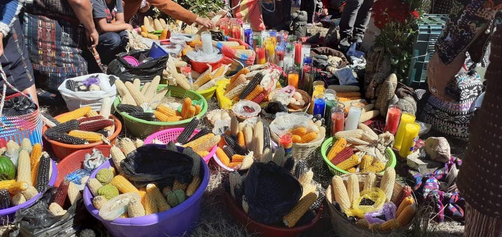 Fotografía: Senacri