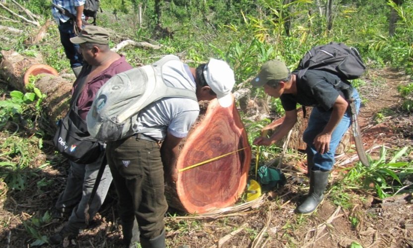  Foto de Guardarecursos de laguna Lachuá 