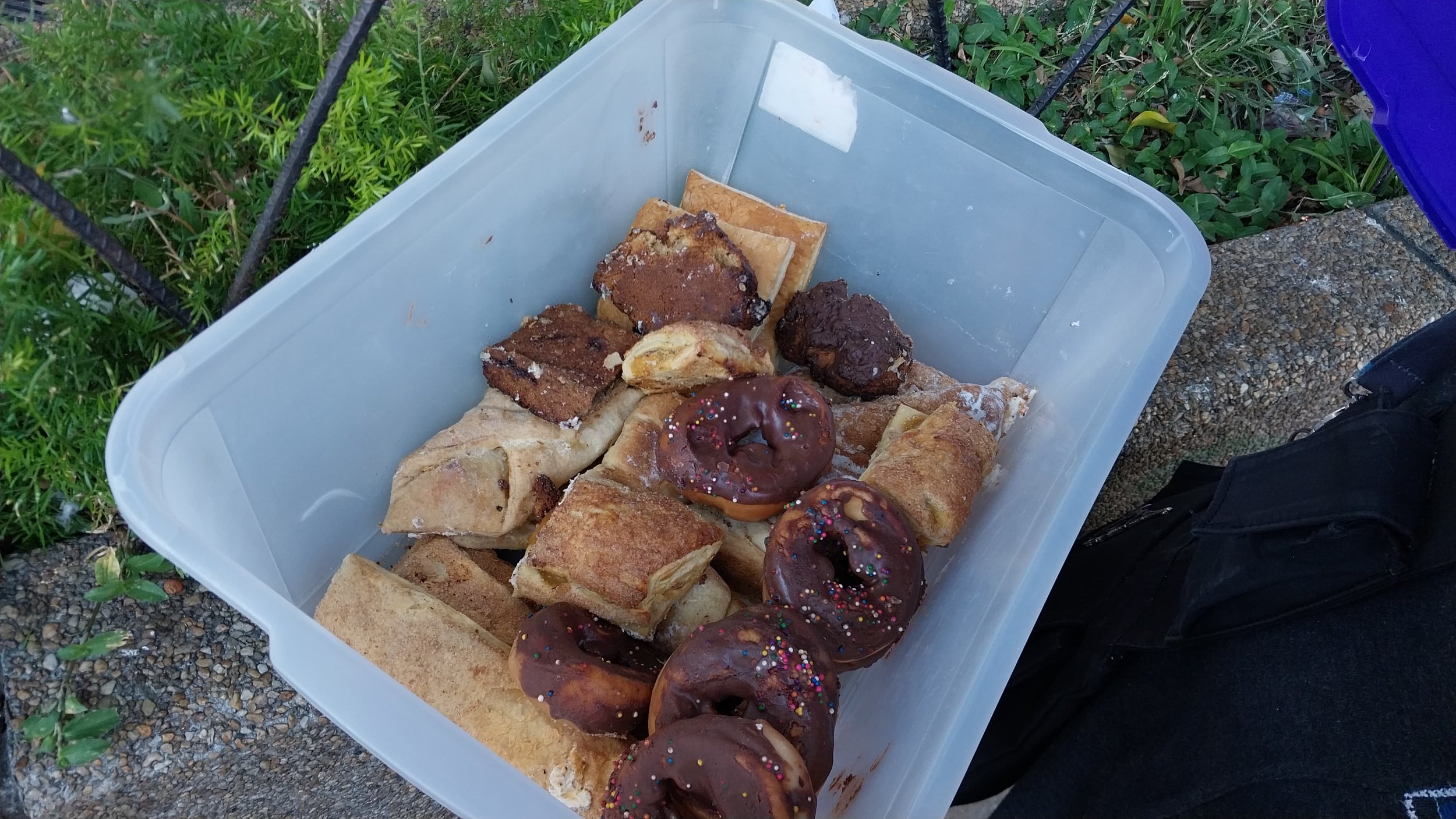  Foto: Jasmin López. 