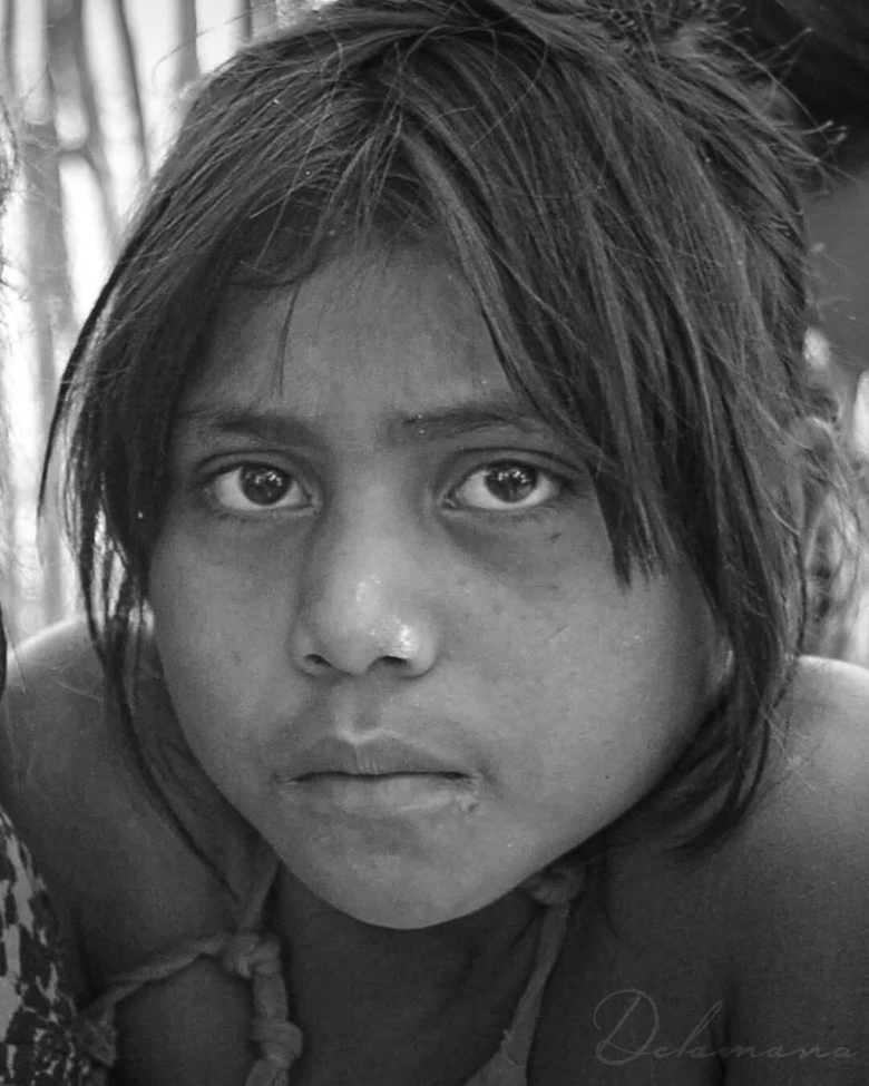 El Expreso que Salta