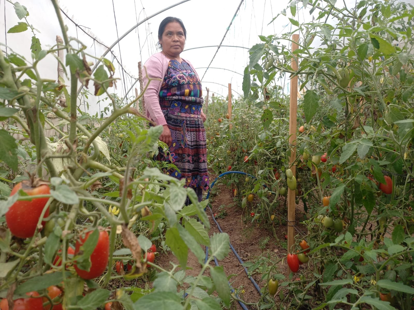  Con este proyecto, las mujeres de Varsovia han logrado la independencia económica. Foto de Hugo Bulux 