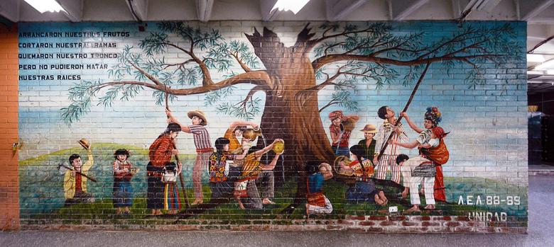 Fotografía: David Luh