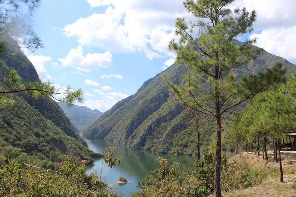 public/jluhg0i89hfwmihszapvuke7hz6g/WhatsApp Image 2026-02-09 at 10.52.33 AM.jpeg