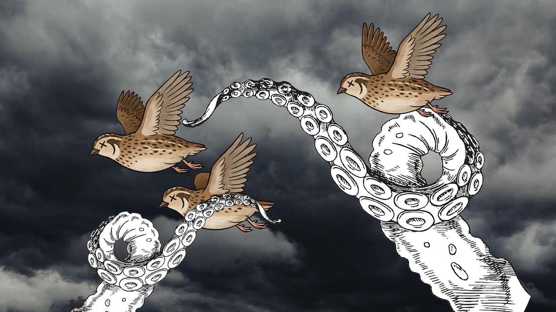 public/vkr06z8dgp5p0k6syuo5zoby65m2/2026 Portadas Youtube Abril.jpg